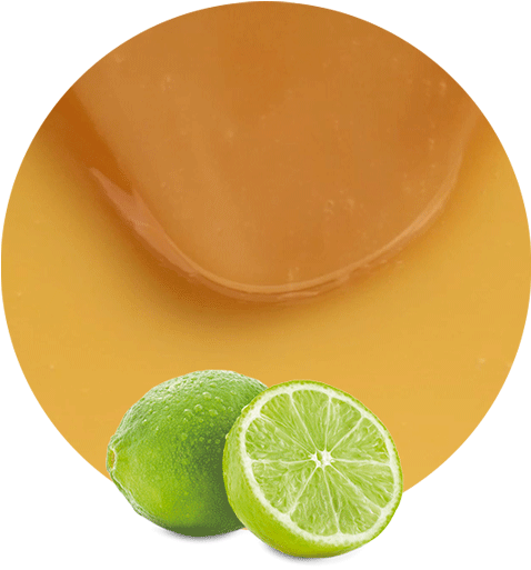 Com/wp Concentrate - Persian Lime (536x595), Png Download