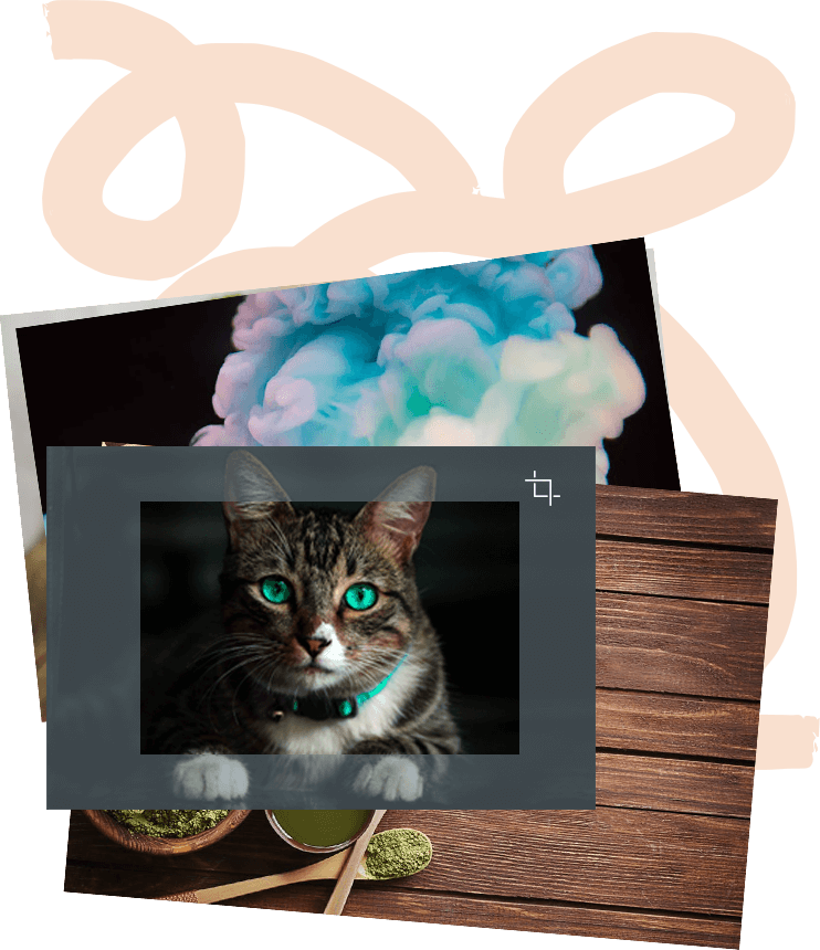 We Know Your Visual Brand Matters To You - Domestic Short-haired Cat (742x860), Png Download