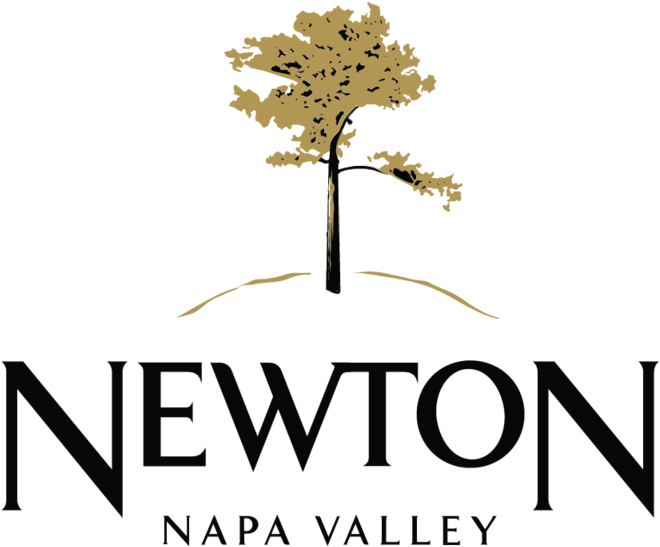 Untitled 2 02 - Tree (1000x667), Png Download