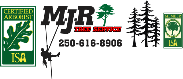 Office - International Society Of Arboriculture (640x640), Png Download