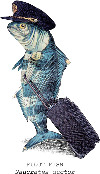 600 X 680 2 - Eric Fan The Pilot (600x680), Png Download