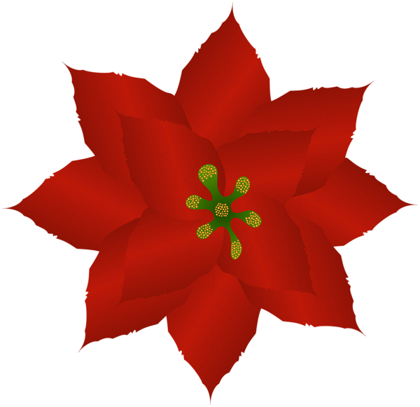 0, - Christmas Poinsettia Flower Template (600x581), Png Download