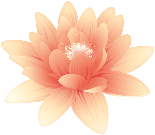 Sacred Lotus (600x523), Png Download