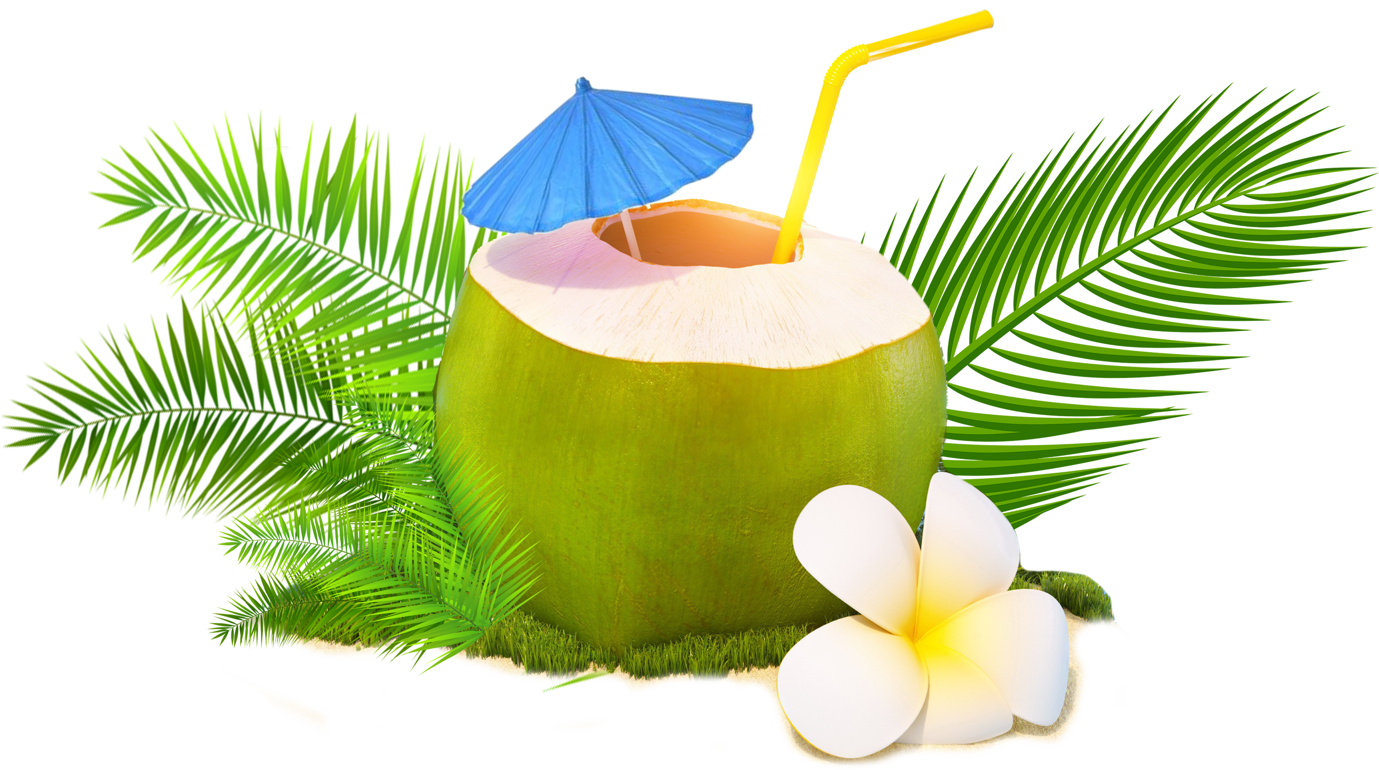 Trendy Coconut - Coconut Water (2801x1565), Png Download