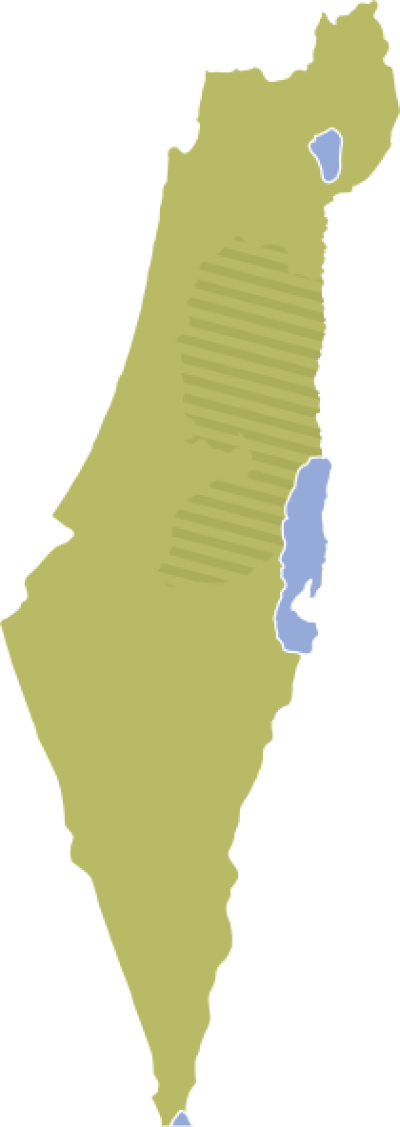Small - Israel Map Clipart (400x1127), Png Download