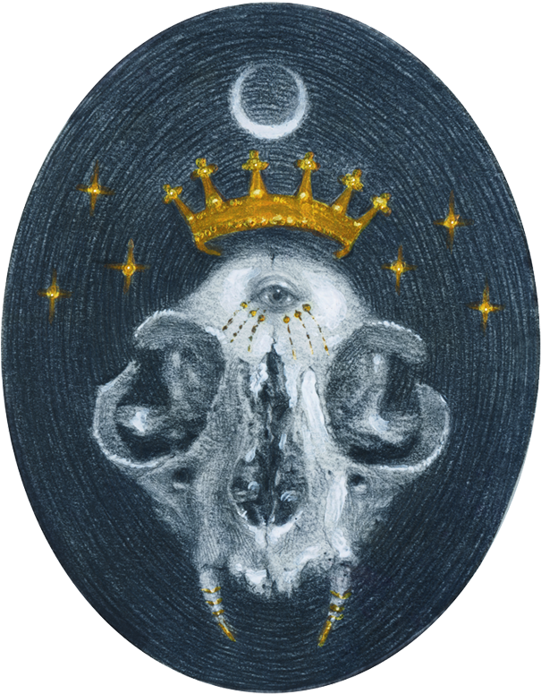 “skull Queen” Get The Original Here Etsy ▽ Facebook - Circle (700x901), Png Download