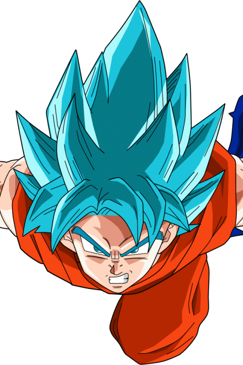 Free Png Download Dragon Ball Z Super Iphone Wallpaper - Dragon Ball Z Png (480x720), Png Download