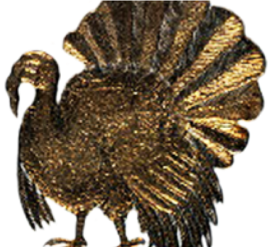 Turkey (640x480), Png Download