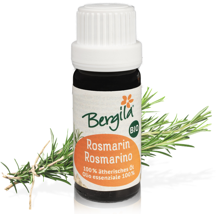 Different Kind Of Rosemary Plants (800x800), Png Download