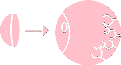 Eye Ball - Circle (750x750), Png Download