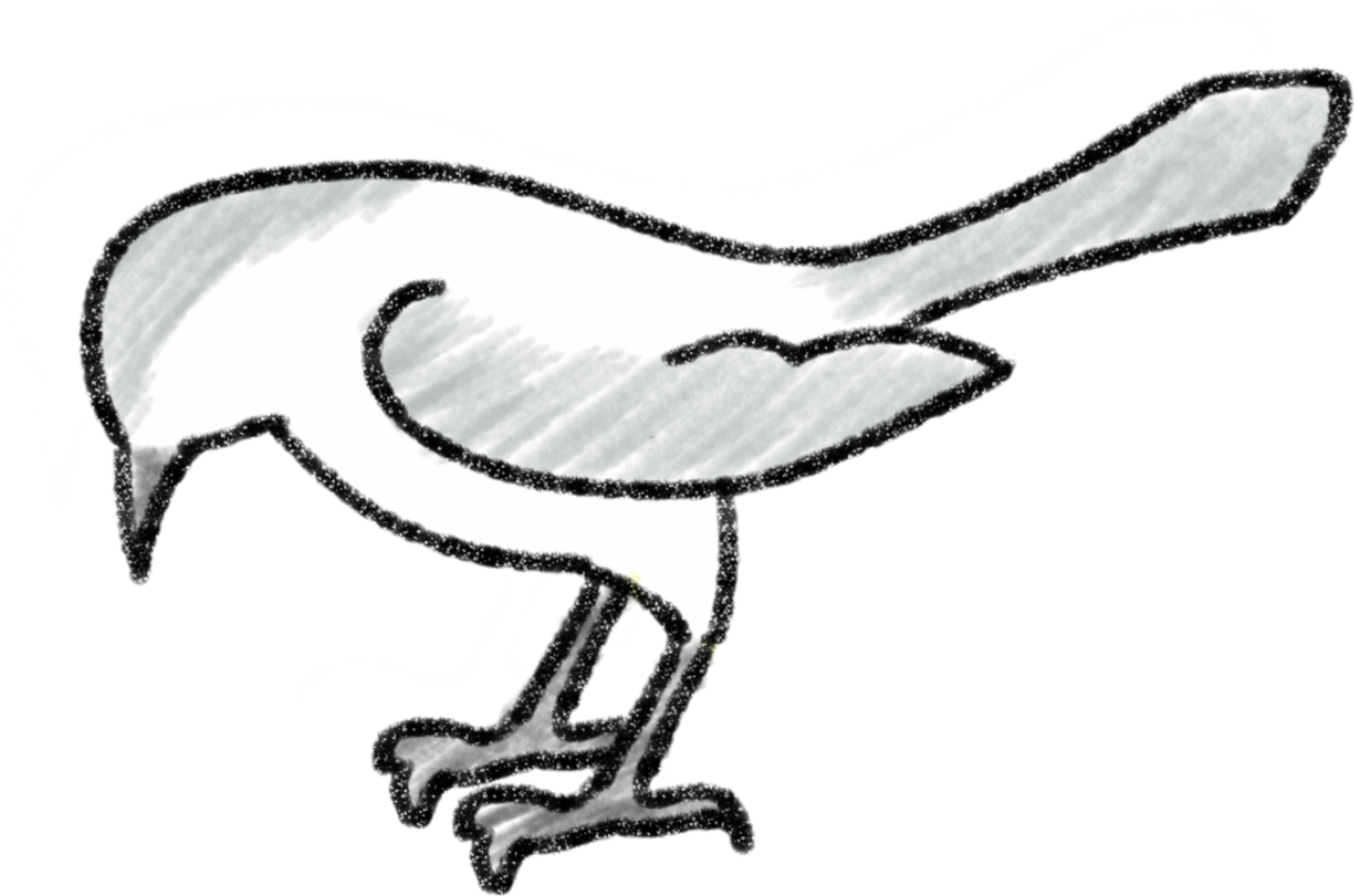 Sketch (2100x2100), Png Download
