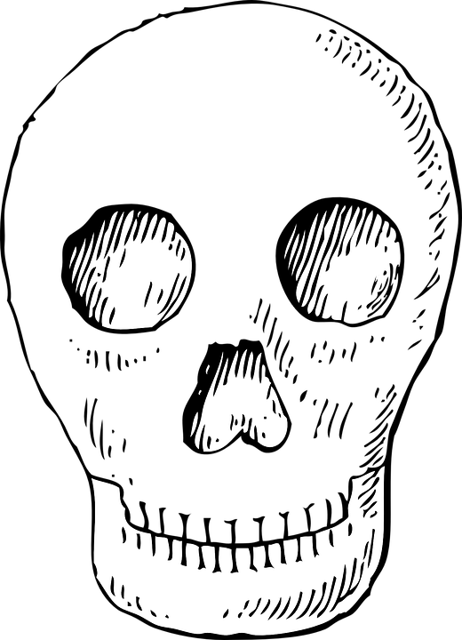 Skull Pirate Head Free Vector Graphic On - Poison Skull (520x720), Png Download