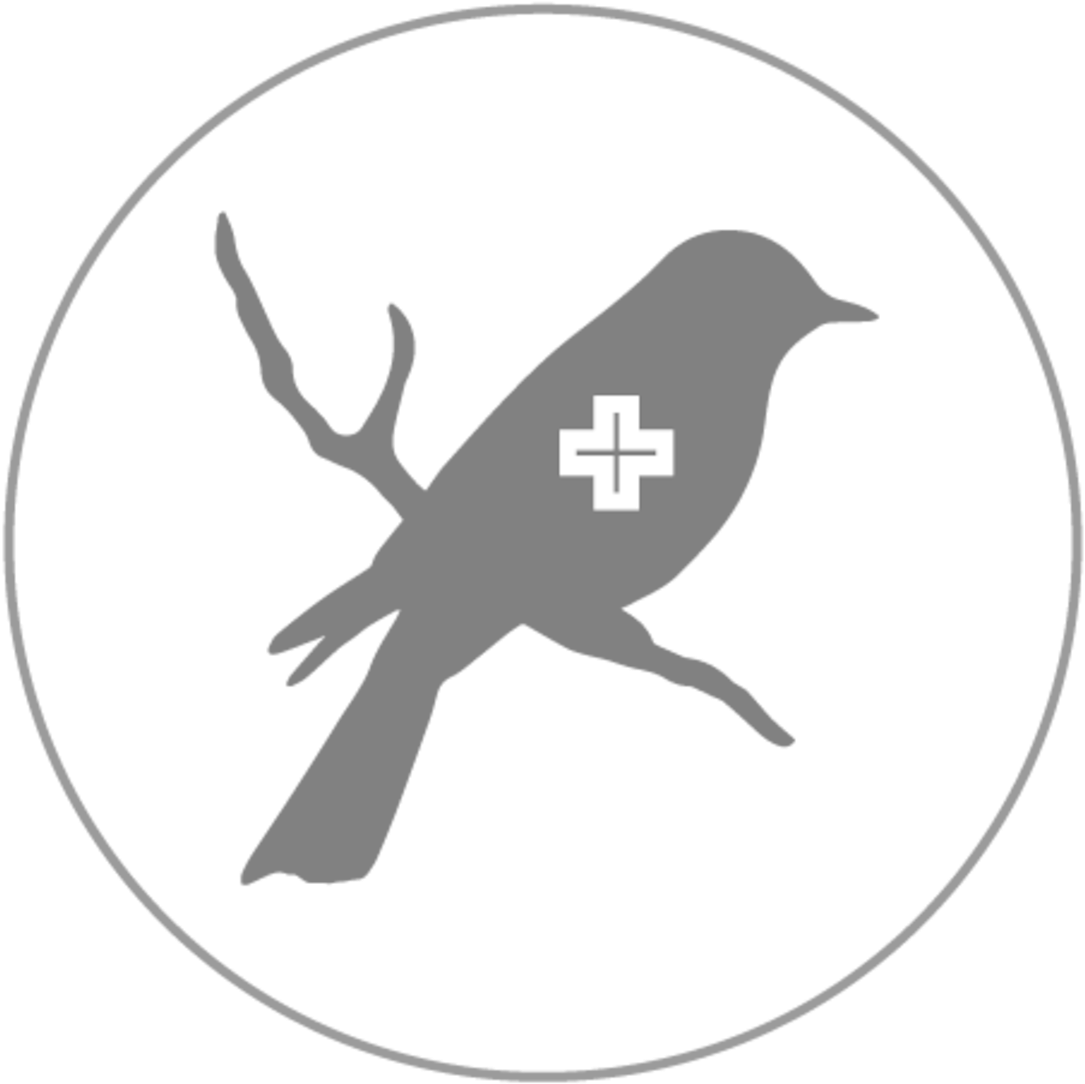 Mockingbird Logo - Colourful Cross Stitch Patterns (1200x1200), Png Download