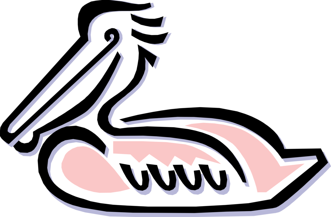 Vector Illustration Of Large Water Bird Pelican (1065x700), Png Download