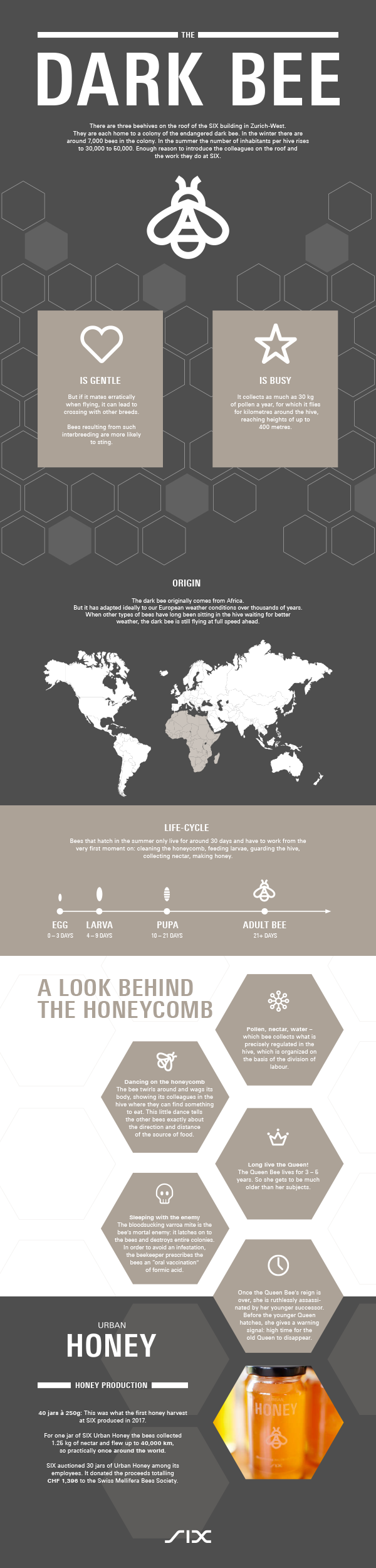 Bee Is Part Of The Sustainability Principle «society - Atlas (600x2500), Png Download