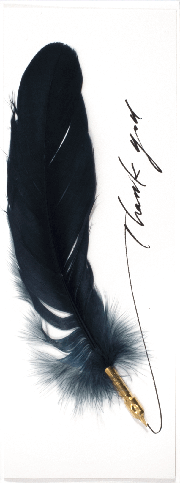 Feather Pen Thanks - Sketch (1600x1624), Png Download