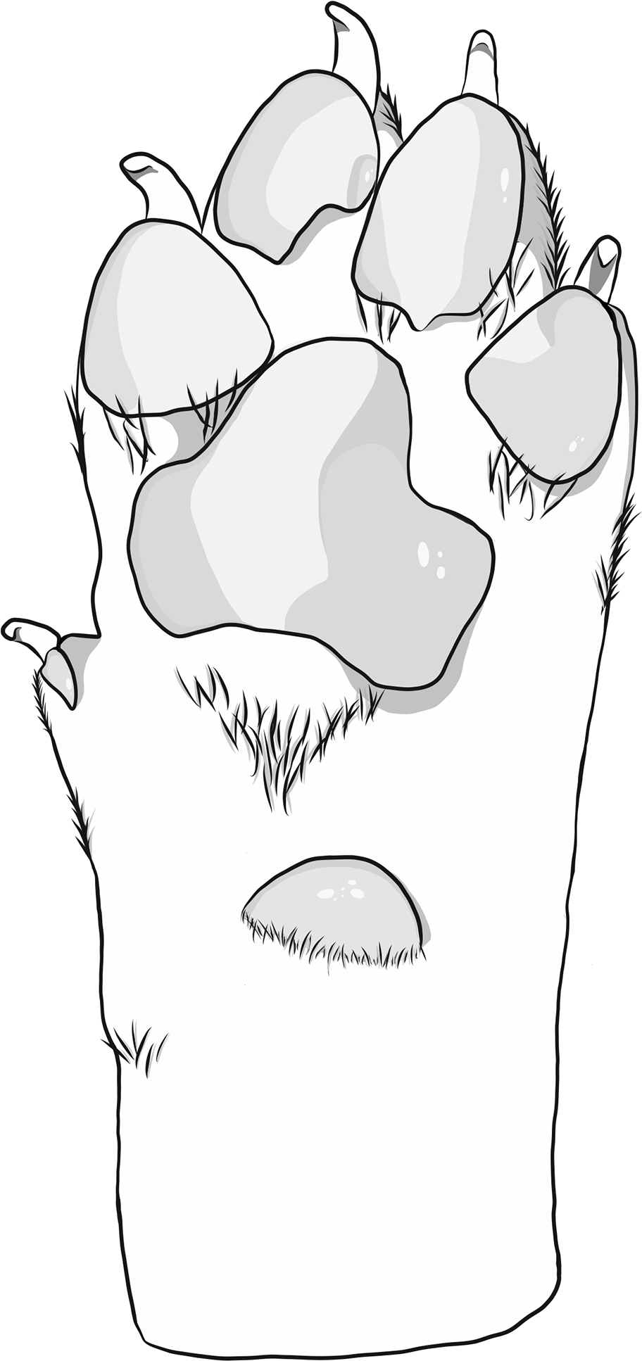 I Also Change The Typeface Used For The Words "helping" - Illustration (1920x2716), Png Download