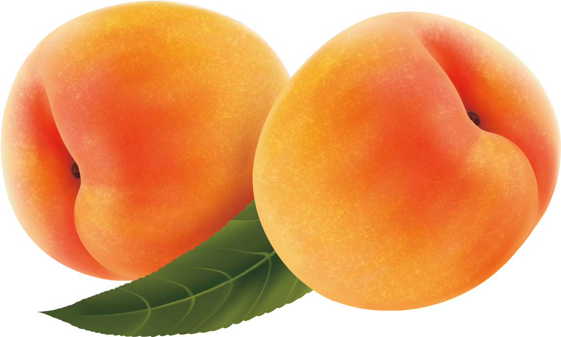 Fruit Peach Transprent Png Free Download - Frutas Durazno (1300x812), Png Download