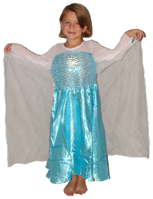 Frozen Elsa Costume/dress Up - Costume (500x651), Png Download
