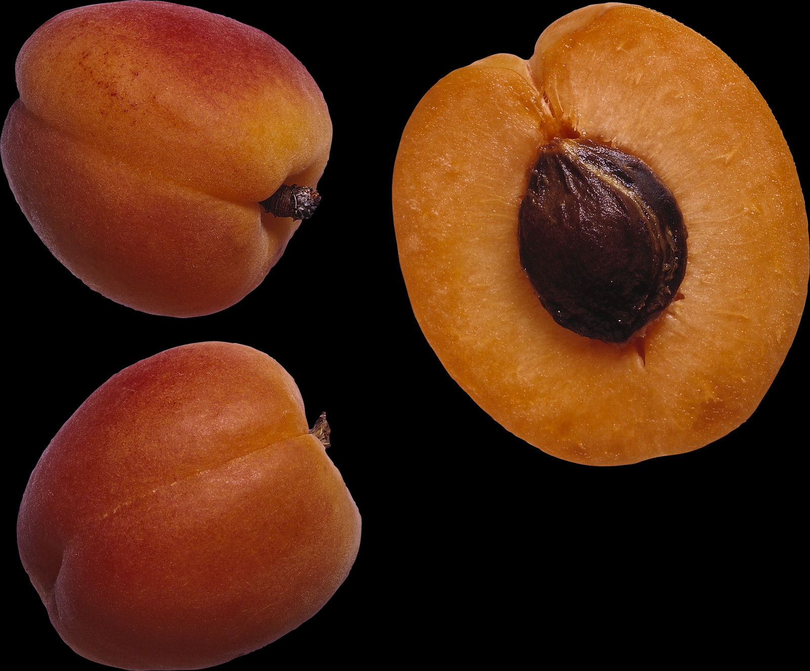 Peach Png - Fruit (1600x1327), Png Download