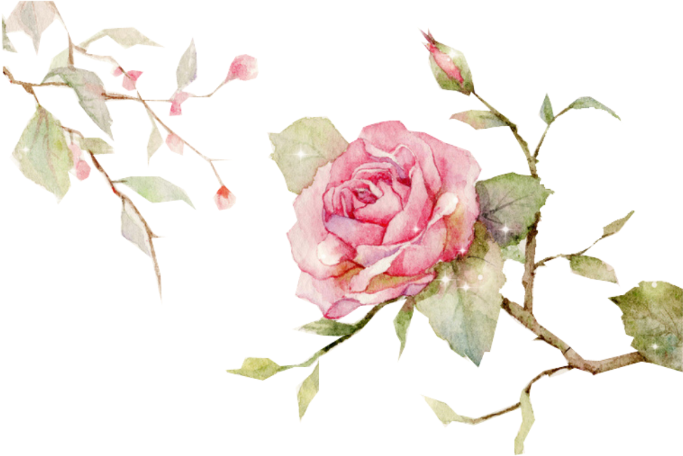 Edits Flowers Rose Vine Nature Art Stickers - Chinese Flower Vector Png (1024x1024), Png Download