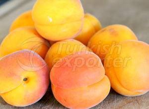 Apricot (300x220), Png Download