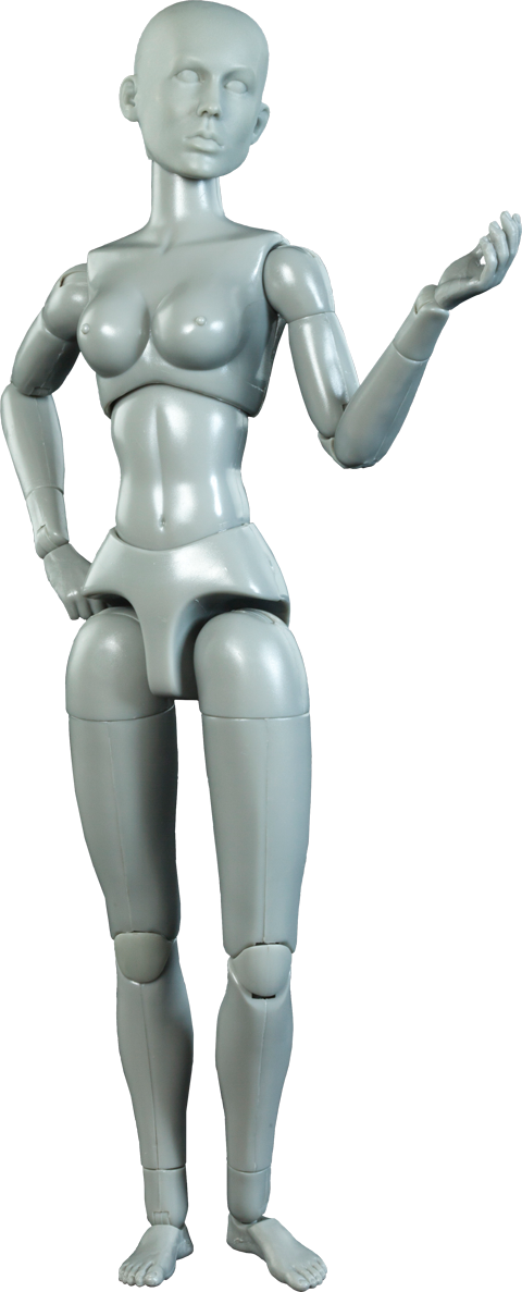 Sideshow Collectibles Artist Model Female Sixth Scale - Mannequin (480x1187), Png Download