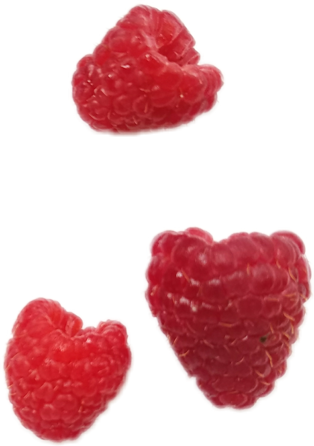 Raspberries Raspberry Png Aestheticpng Nichememe Nichep - Wine Raspberry (1024x1024), Png Download