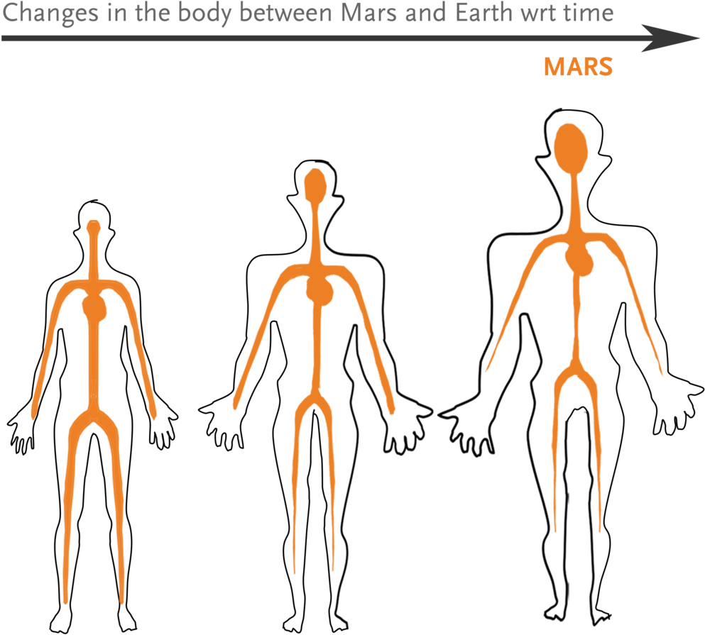2-changes 2 - Diagram (1000x972), Png Download