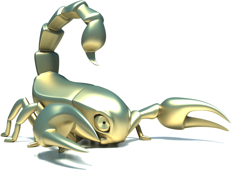 Scorpio Horoscope Png Download Image - Ant (800x593), Png Download