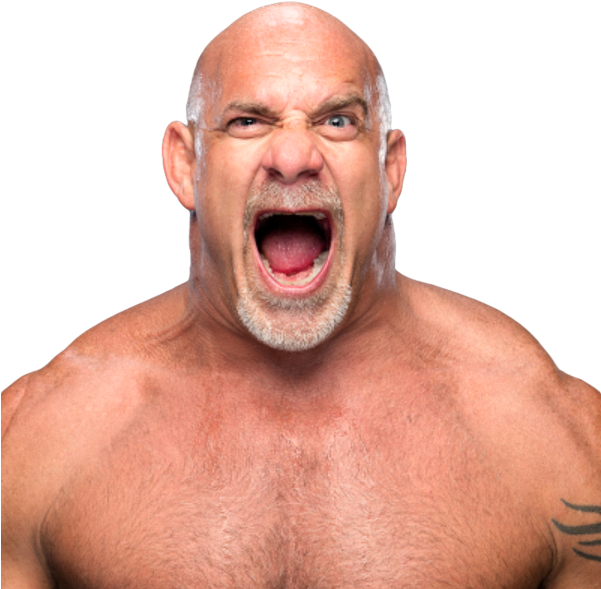 Bill Goldberg Png Transparent Background - Goldberg Face (600x600), Png Download