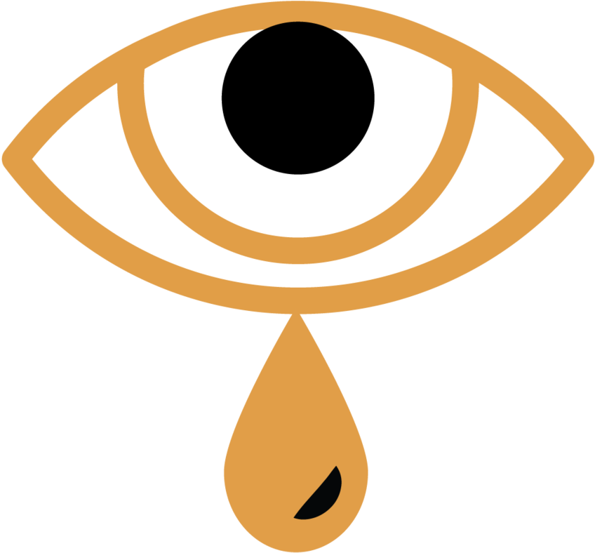 Sherwood Icons Eye - Circle (1000x1102), Png Download