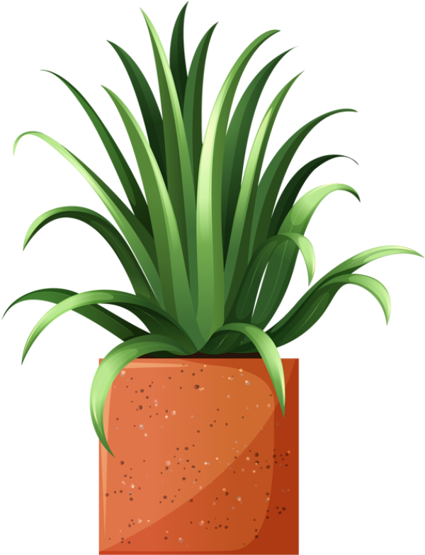 Clip Art Of Beautiful Plants For The Spring Garden - House Plant Clip Art (600x783), Png Download