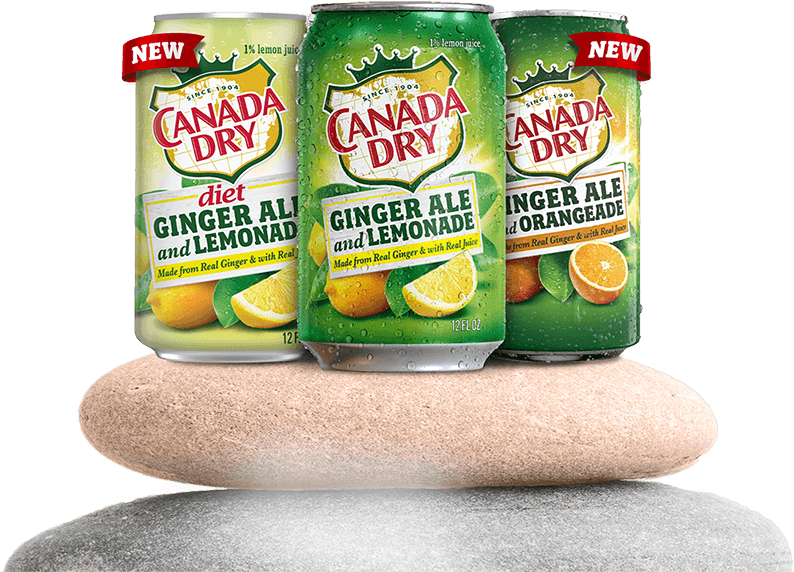 The Trio Of - Canada Dry (800x589), Png Download