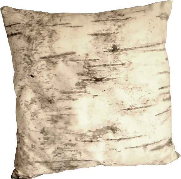 Birch Tree, Pillow - Cushion (635x600), Png Download