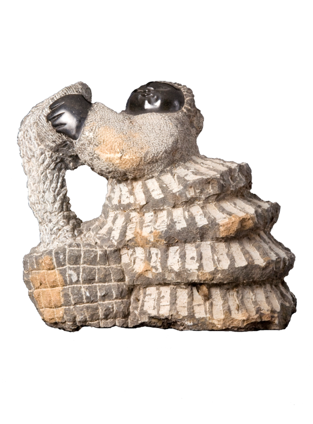 Dp133 - Cm - Groundhog (657x983), Png Download