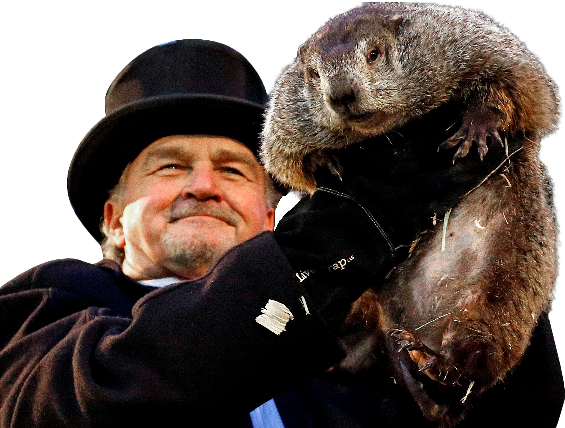 Punxsutawney Phil Groundhog (728x546), Png Download