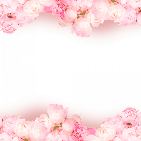 Hoa Hồng Ngày Valentine Valentine Rose - Valentine's Day (600x600), Png Download