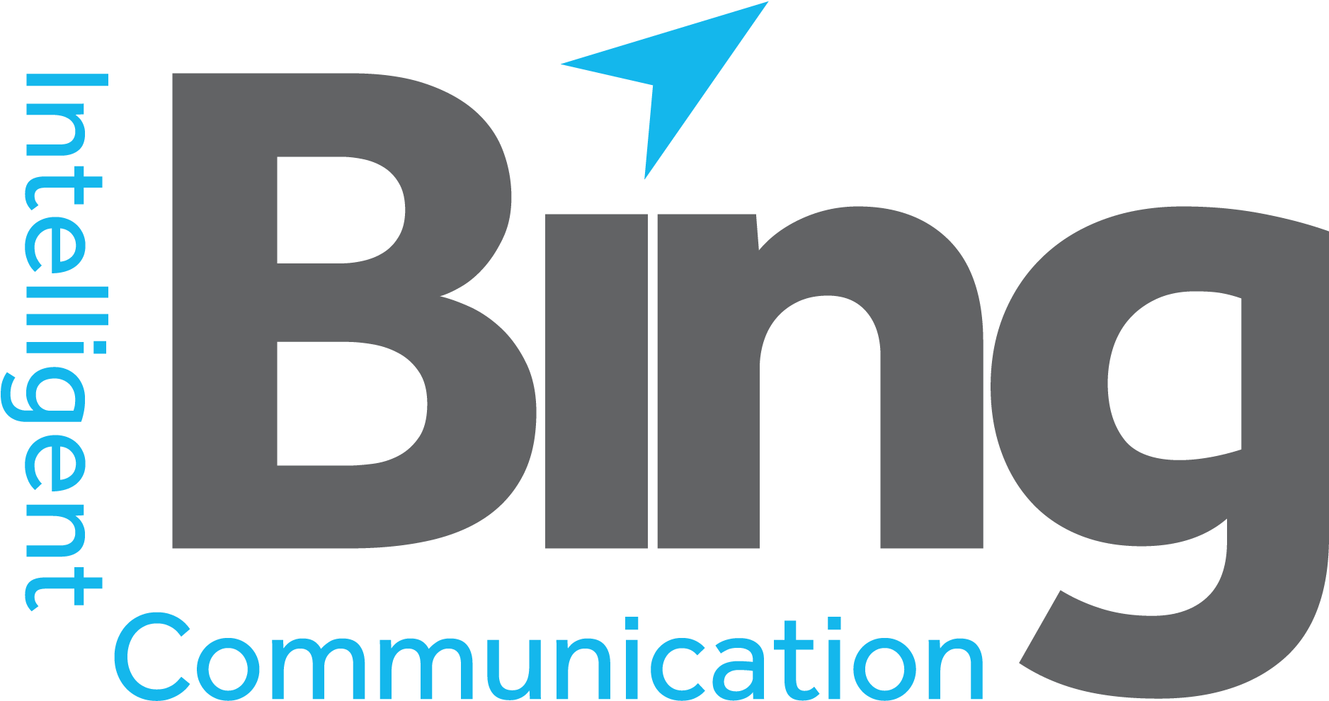 Foundation Platinum Sponsor - Graphic Design (1920x1050), Png Download