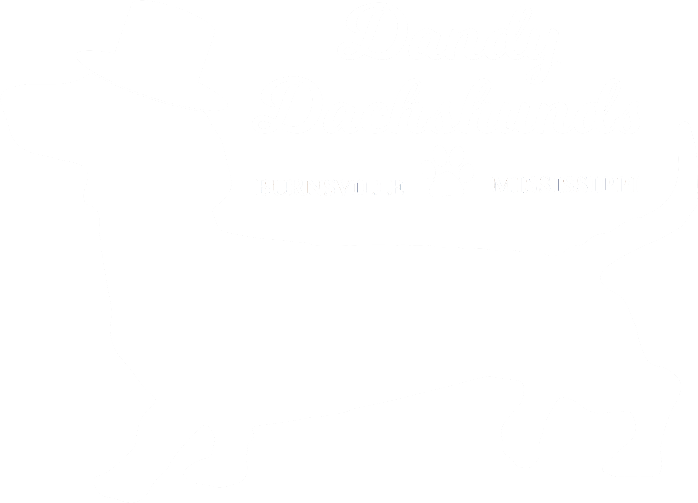 Dachshund (2750x2125), Png Download