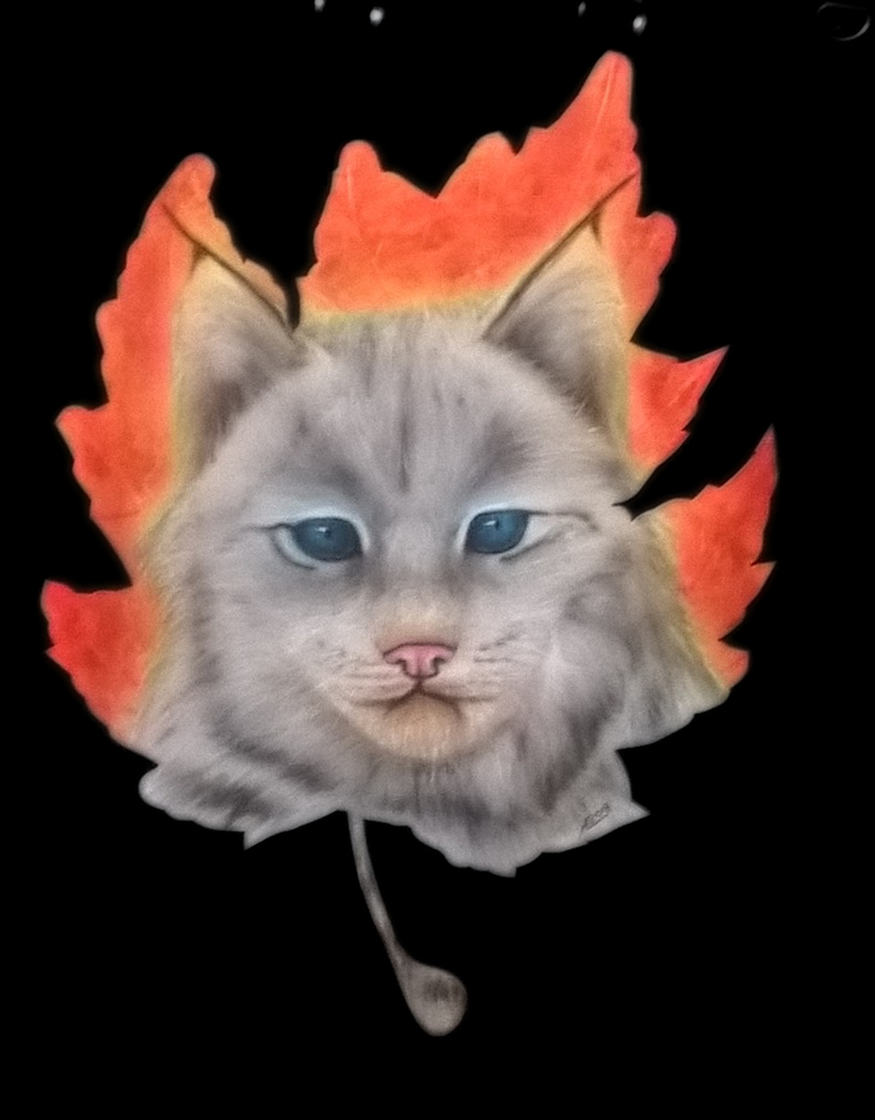 Kitten (1250x1600), Png Download