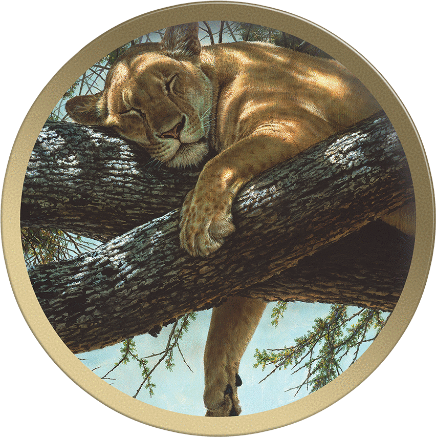 Lake Manyara Lioness - Artist (1000x1000), Png Download