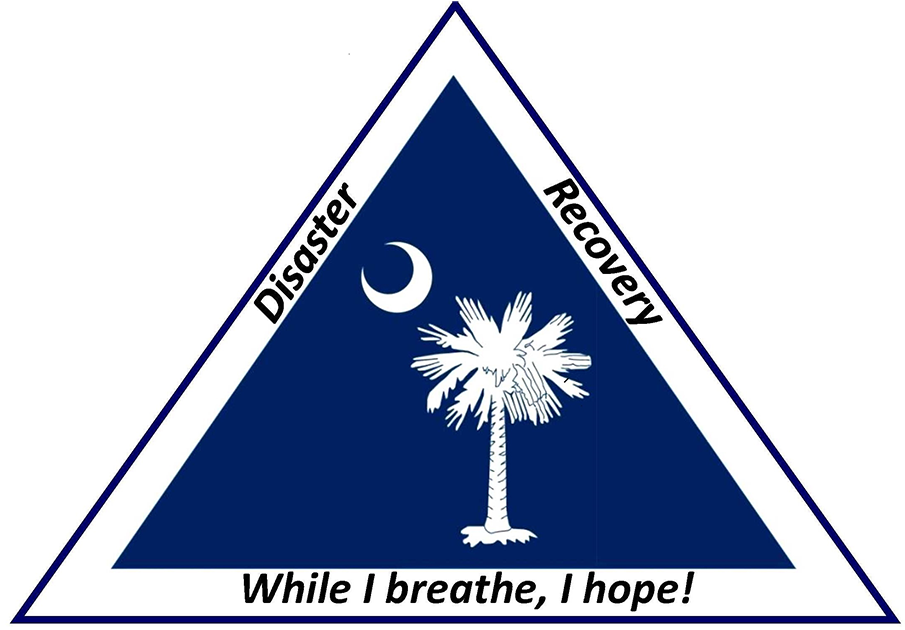 The South Carolina Disaster Recovery Office Provides - South Carolina State Flag (1200x669), Png Download
