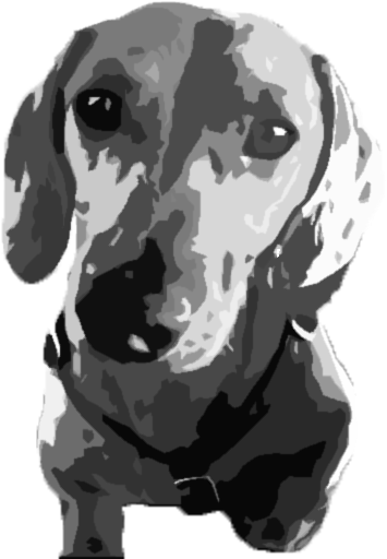Warhol Jenkins - Dachshund (720x540), Png Download