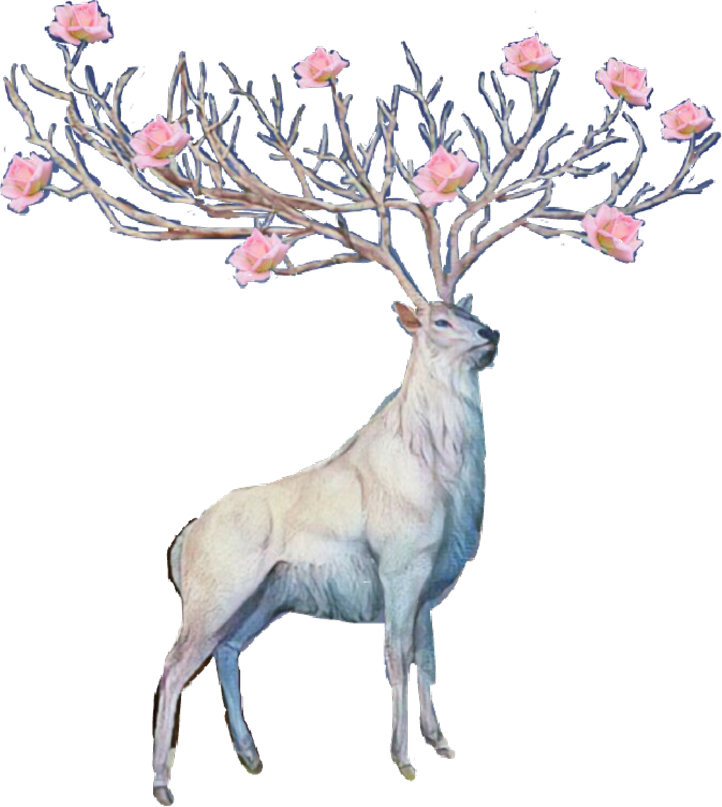 Flower Sticker - Deer Transparent Flower (1024x1144), Png Download