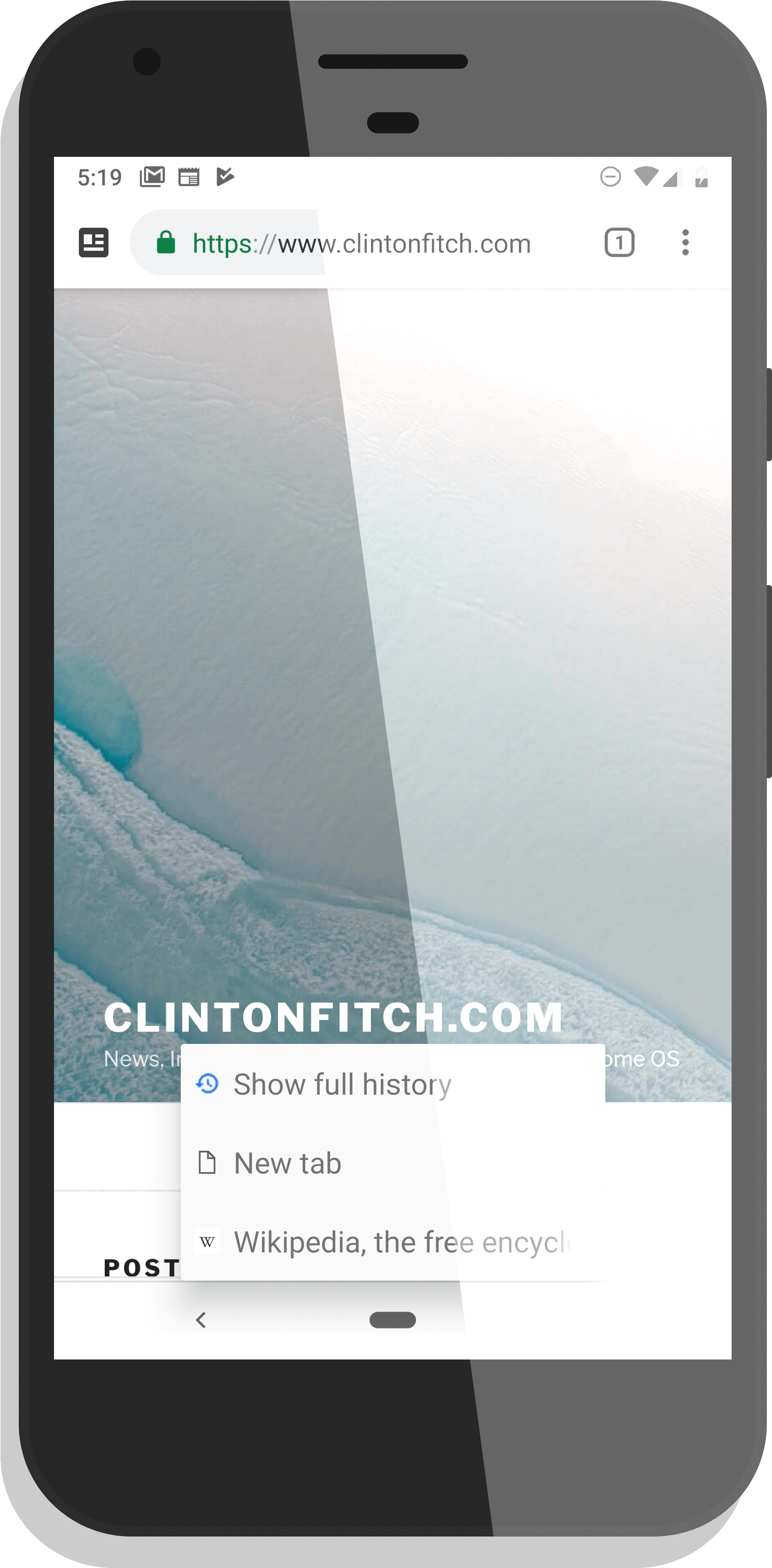 Tab History With A Long Press Of The Back Button In - Google Pay Loyalty Cards (2134x3840), Png Download