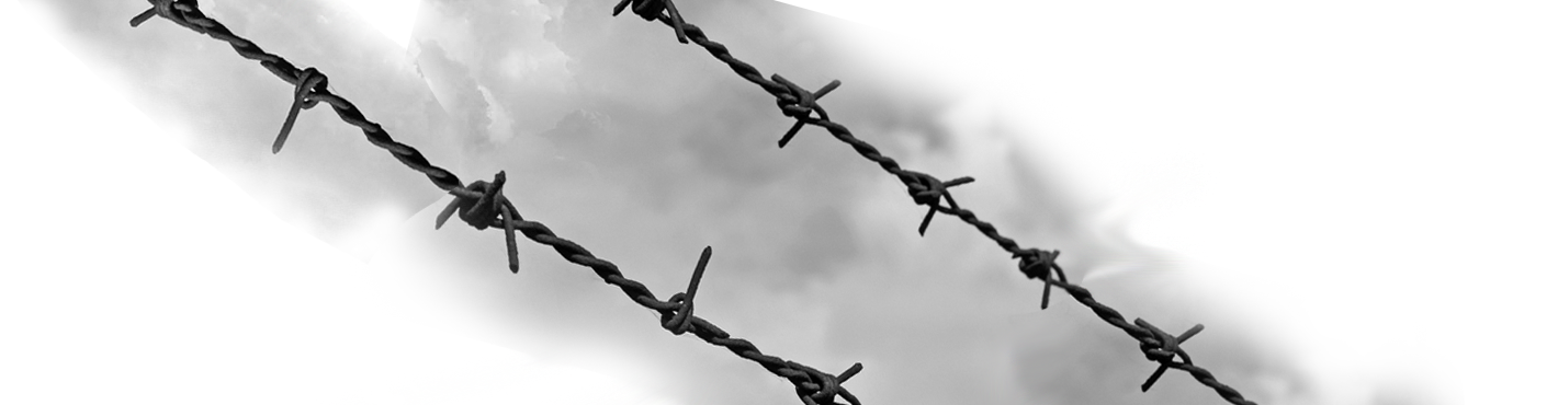 1420 X 370 6 - Barbed Wire (1420x370), Png Download