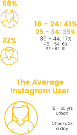 Instagram For Ecommerce Average Insta User - Circle (800x500), Png Download