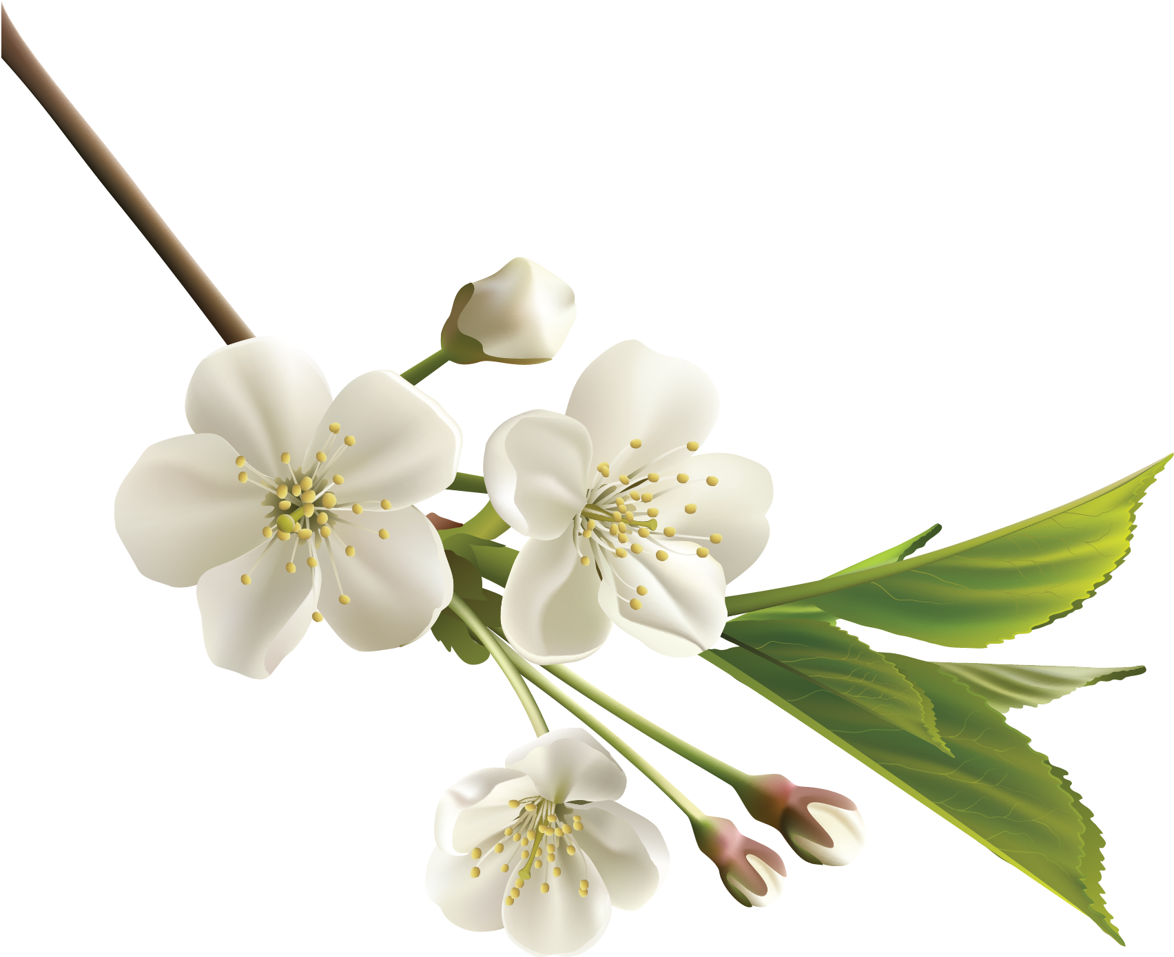 Orange Flower Clipart Realistic Flower - White Cherry Blossom Flower (2463x2263), Png Download