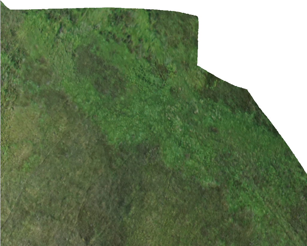 Kml Href, E0110 - Grass (1024x1024), Png Download